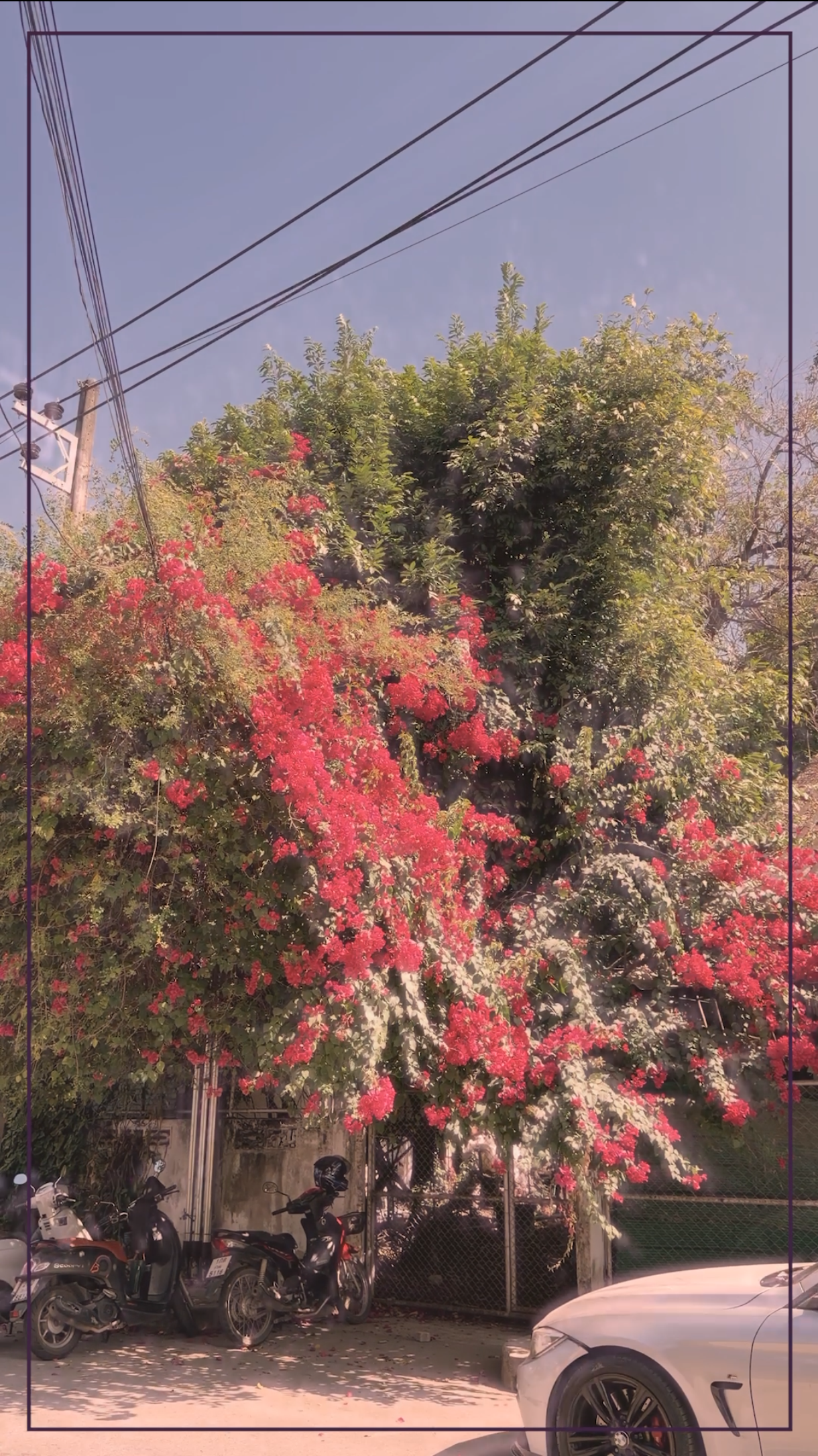 02. fluttering